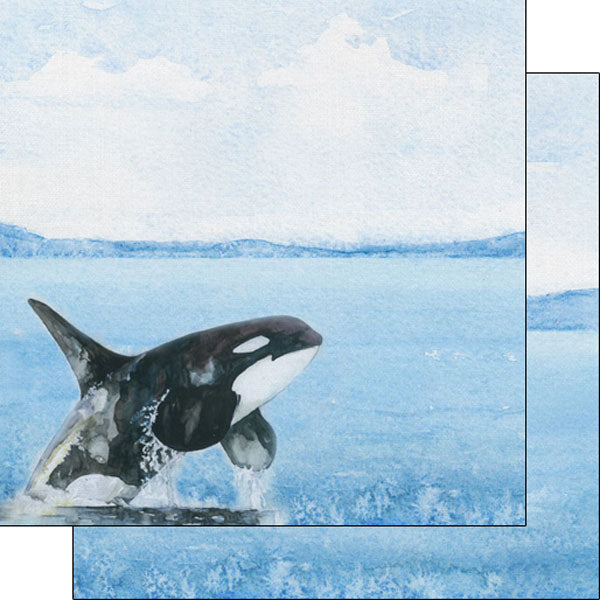 Scrapbook Customs, Orca Safari Watercolour