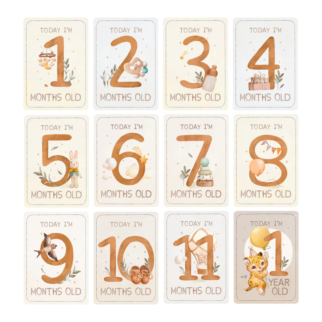 Simply Stated, A Baby's World of Wonder Month Cards Ephemera