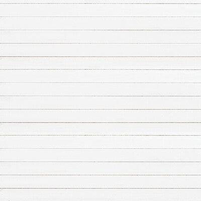 Echo Park; Cool Wood Grains Paper; Shiplap Wood Grain