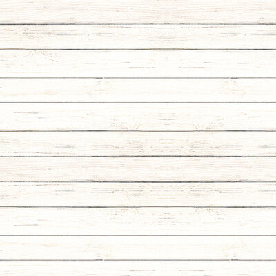 Echo Park; Cool Wood Grains Paper; Ivory Wood Grain