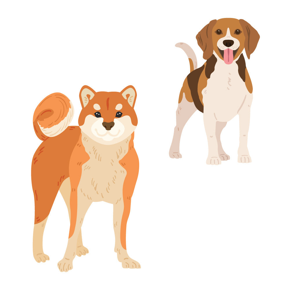 HoneyBee, Lovely Layers: Medium Dogs