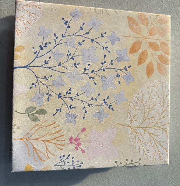 TSC, Virtual Kit: Squsihy Album