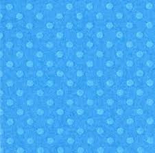 American Crafts; Bazzill, 12x12 Cardstock, Dotted Swiss; Surf’s Up