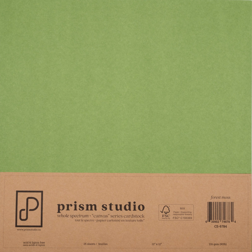 Prism Studio, 12X12 Whole Spectrum "Canvas" Series Textured Cardstock, Forest Moss