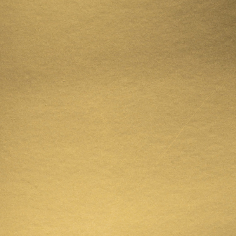 Prism, 12X12 Whole Spectrum Foil Cardstock, Brushed Gold