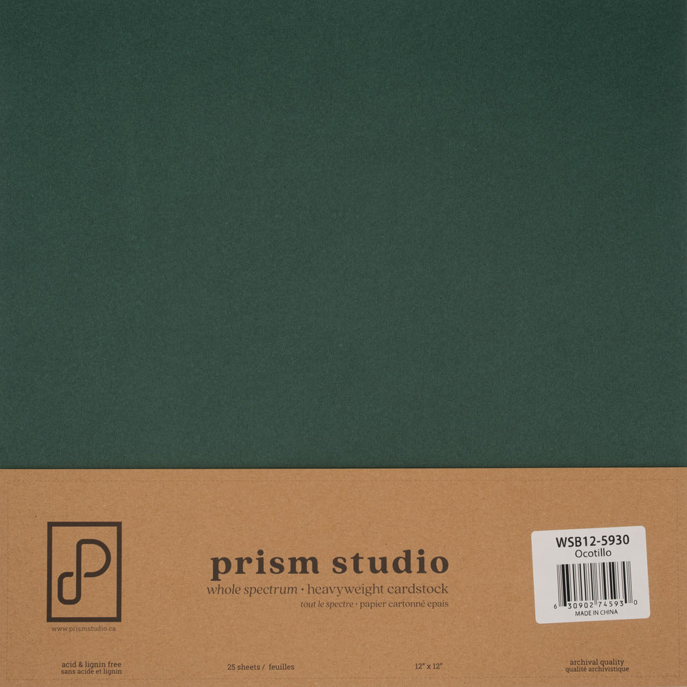 Prism Studio Whole Spectrum Loose 12 x 12 Cardstock; Ocotillo