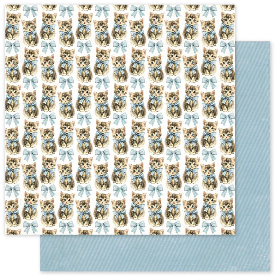 Paper Rose Rustic Spring Basics F Paper