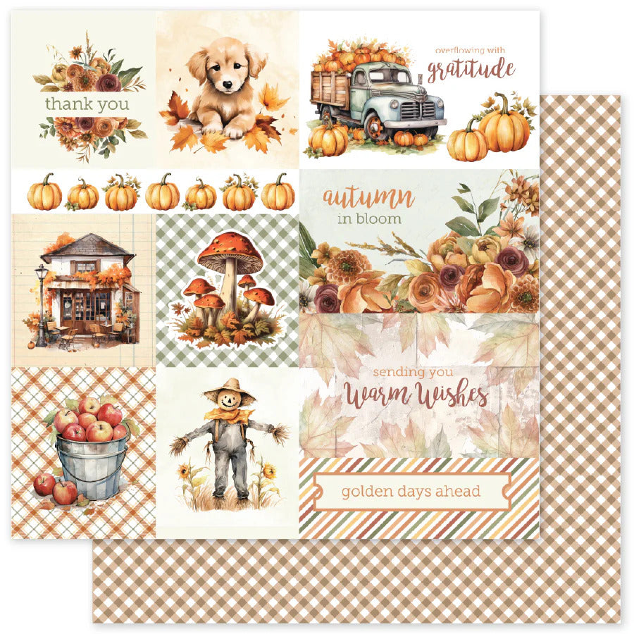 Paper Rose, 12X12 Patterned Paper, Autumn Florals Basics A