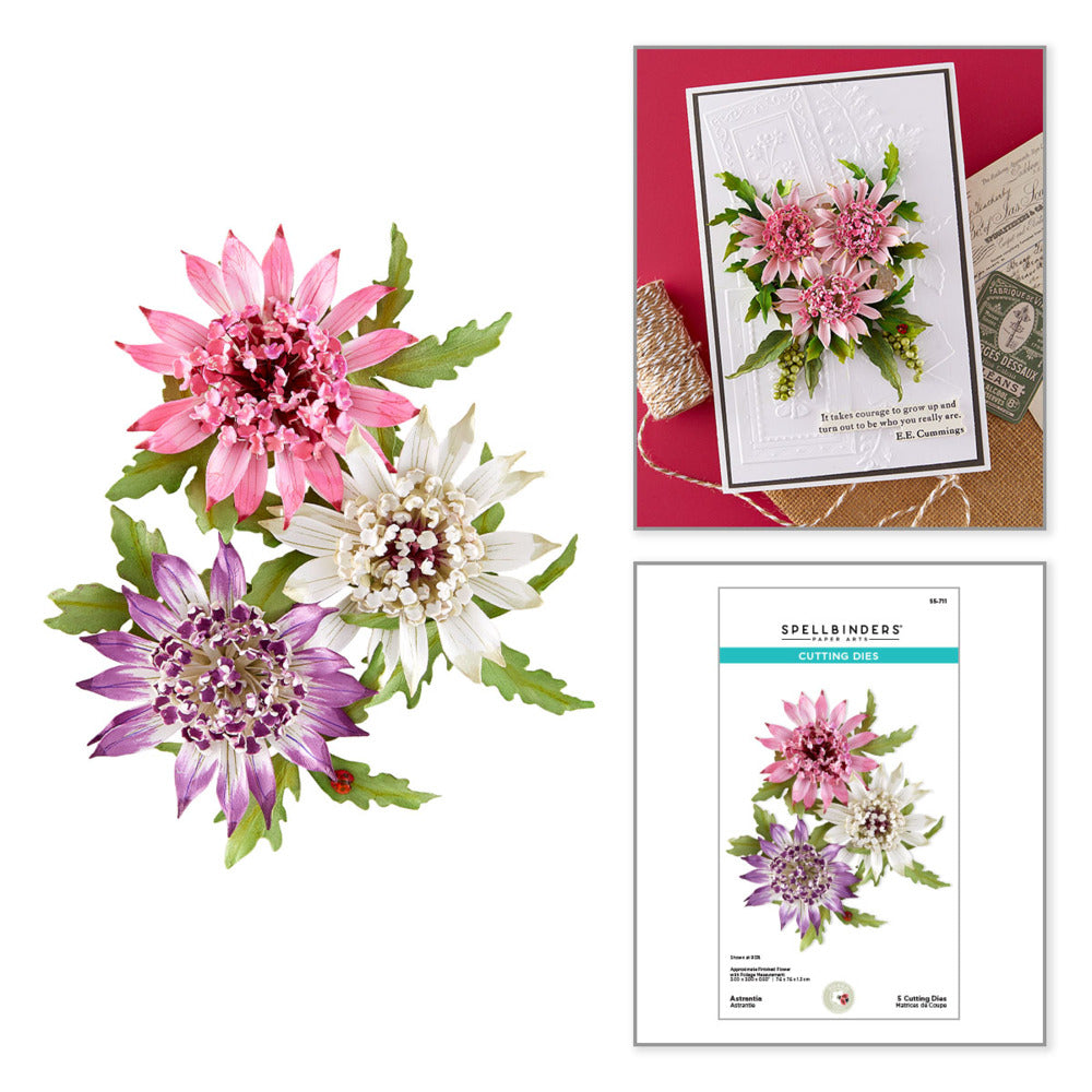 Spellbinders, Die, Astrantia Pre-order
