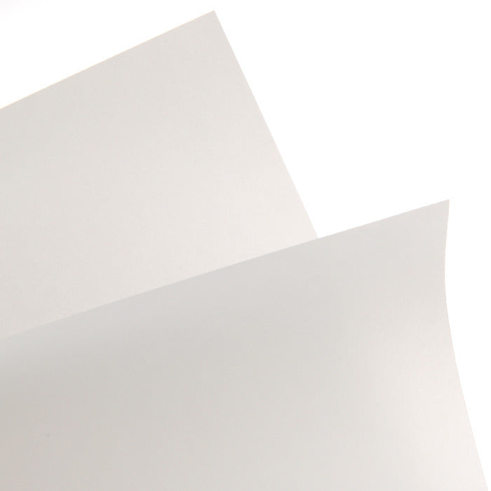 Bazzil, Vellum 12x12