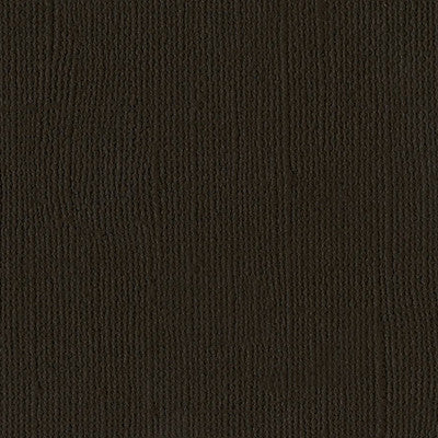 American Crafts,Bazzill 12x12 cardstock - Java