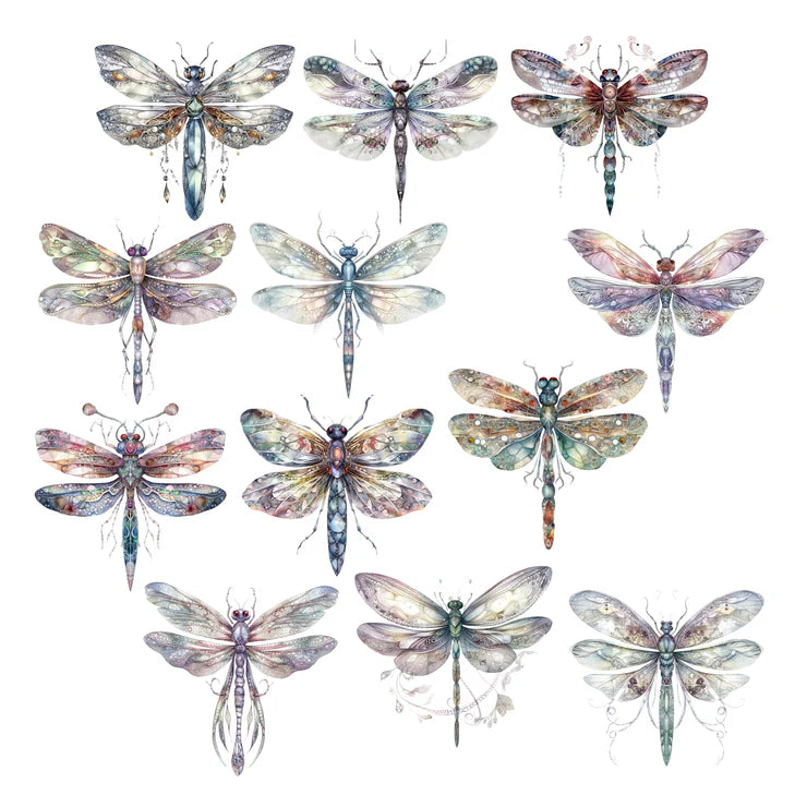 Simply States, Dragonflies Ephemera