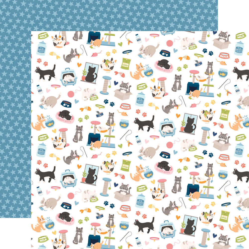 Echo Park, 12X12 Patterned Paper, Cat Lover