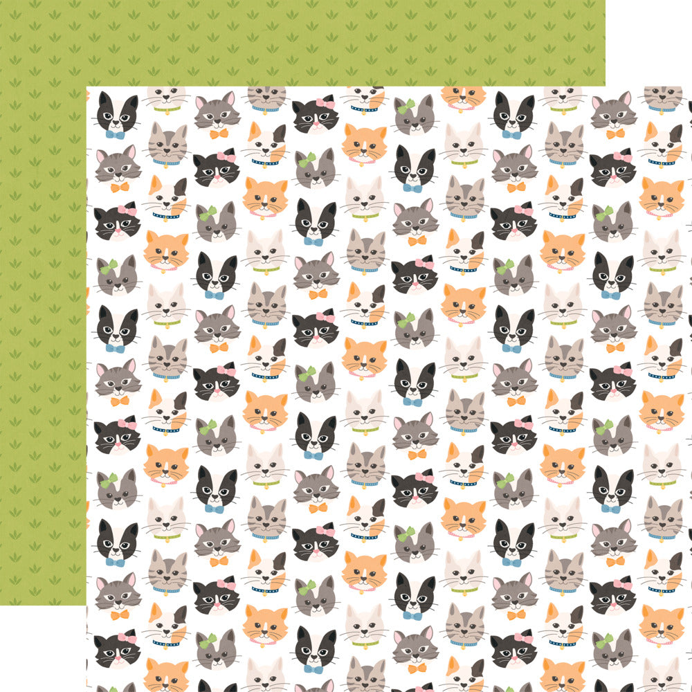 12X12 Patterned Paper, Cat Lover - Live Love Meow
