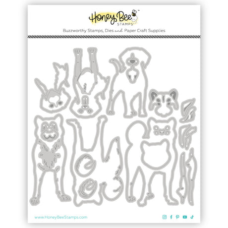 HoneyBee, Lovely Layers: Medium Dogs