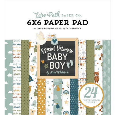 Echo Park, Special Delivery Baby Boy 6x6 Paper Pad