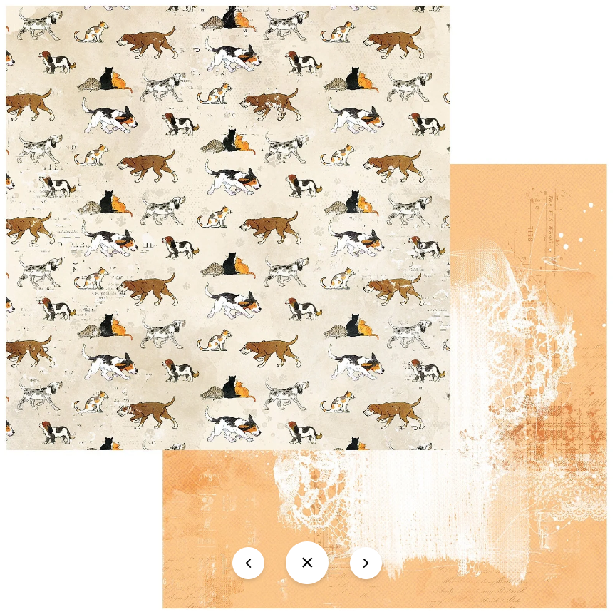 49 and Market, Toddler Time, Cats and Dogs