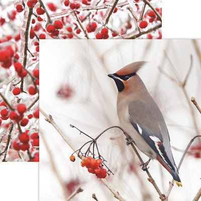 Reminisce, Winter Canvas, Bird & Berries