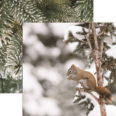 Reminisce, Winter Canvas, Red Squirrel