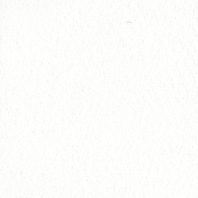 Bazzill 12x12 cardstock - White